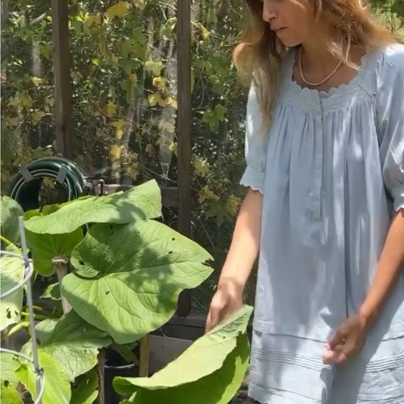 christy dawn suzanne dress - Picture 10 of 13